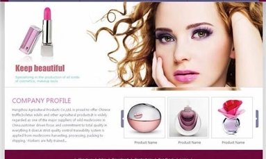 深圳市牧星策劃設計有限公司 對于化妝護膚品網站建設制作開發的方案要體現哪些功能？